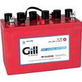 GILL BATTERY G35 DRY 12V 23AH 3QT
